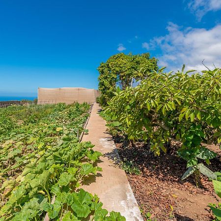 Casa Rural Finca Las Dulces Чио Экстерьер фото