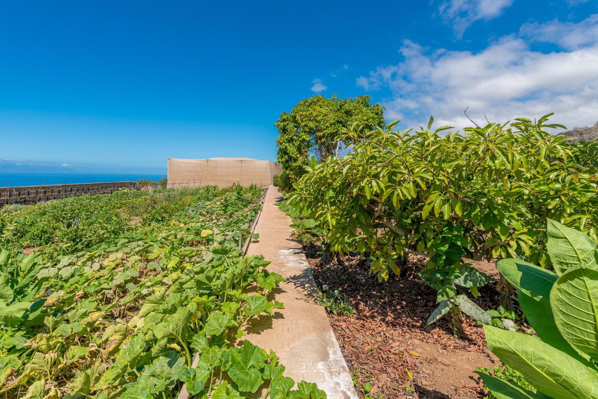 Casa Rural Finca Las Dulces Чио Экстерьер фото